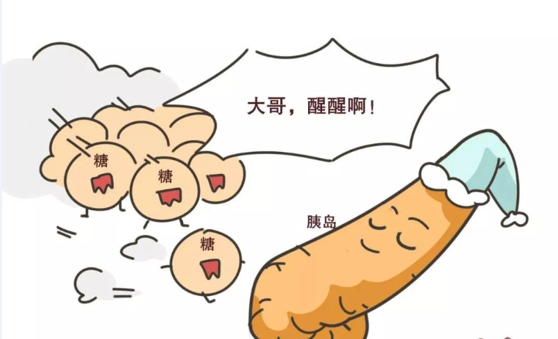 2型糖尿病治疗的要点及误区